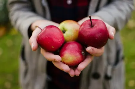 Kan je afvallen van een appel dieet?